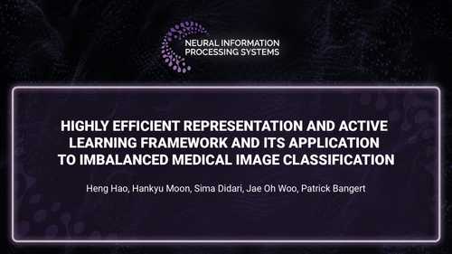 Highly Efficient Representation and Active Learning Framework and Its Application to Imbalanced Medical Image Classification